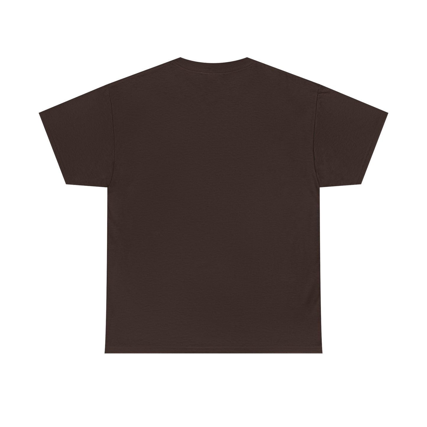 Shine Your Light Unisex Heavy Cotton Tee