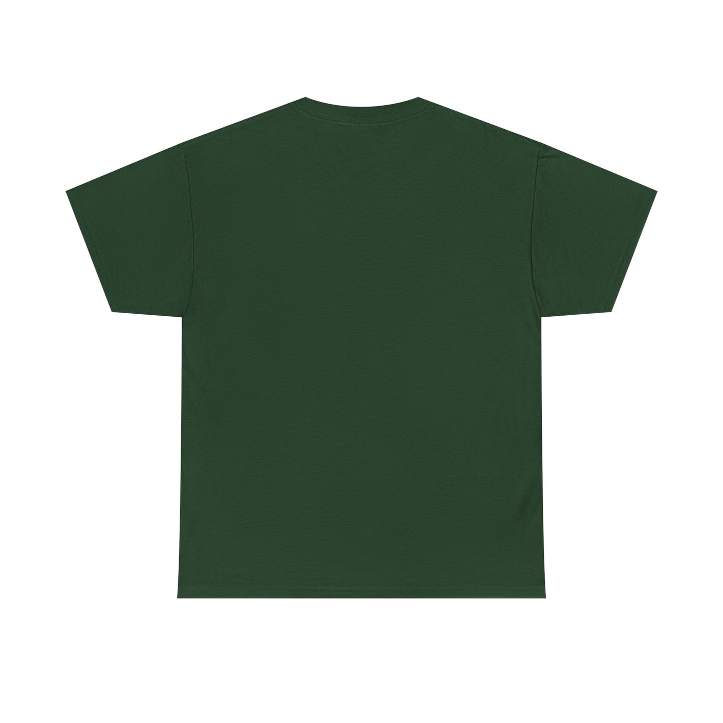 Shine Your Light Unisex Heavy Cotton Tee