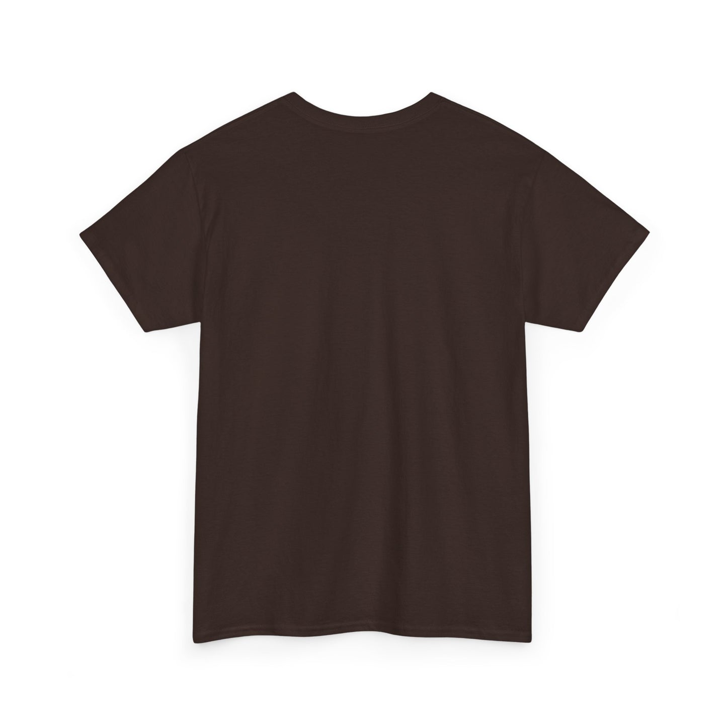 Shine Your Light Unisex Heavy Cotton Tee