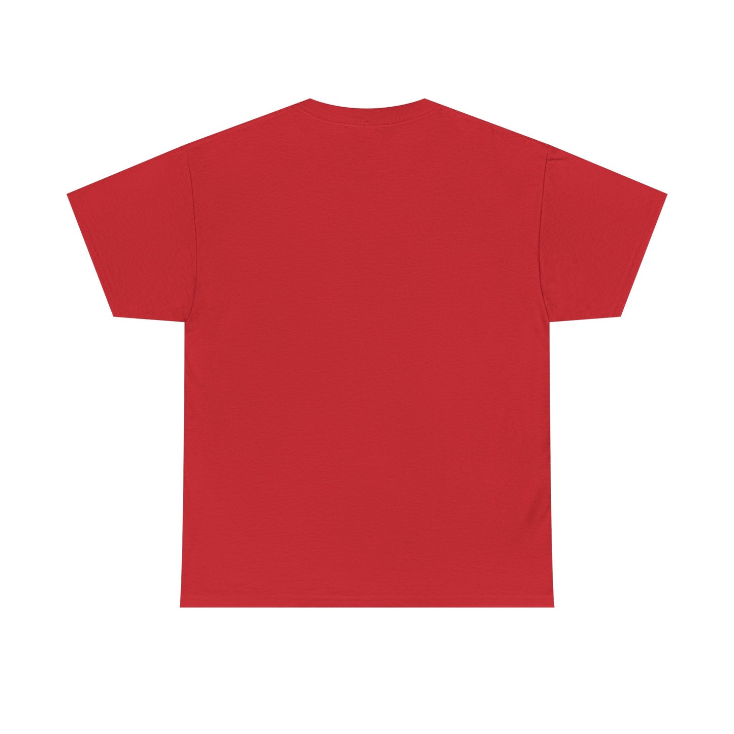 Shine Your Light Unisex Heavy Cotton Tee